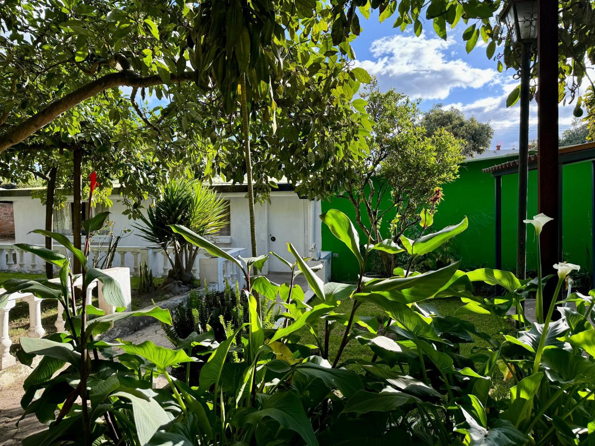 Lodge Mckay's Quinta